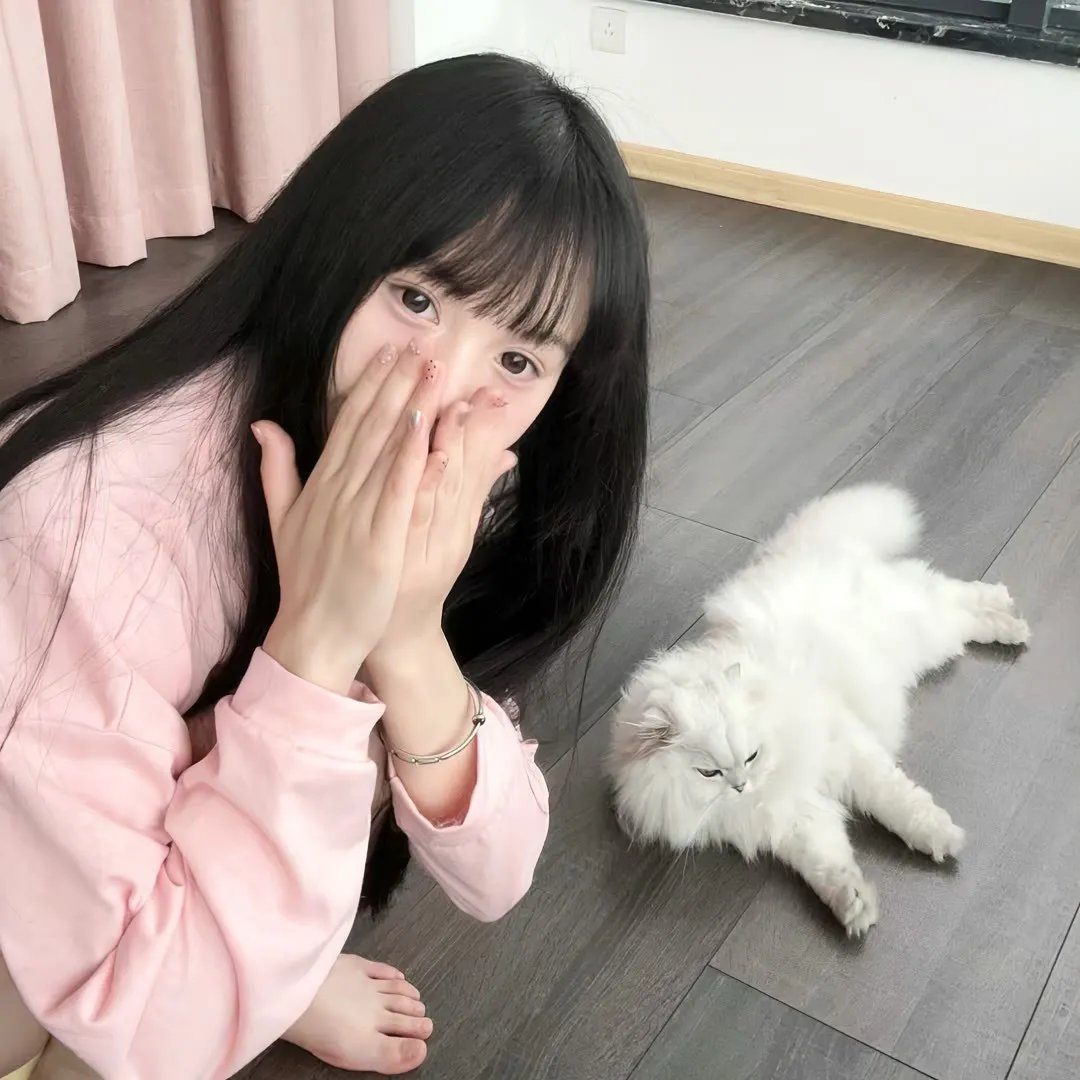 泰特罗