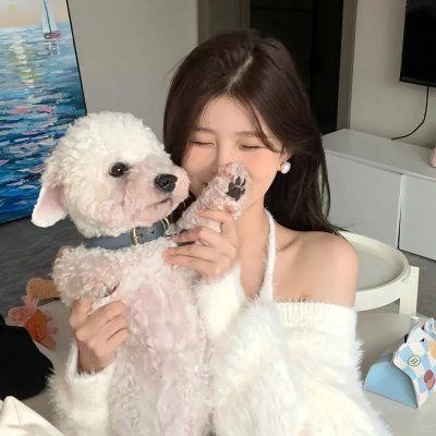 老鼠爱上猫